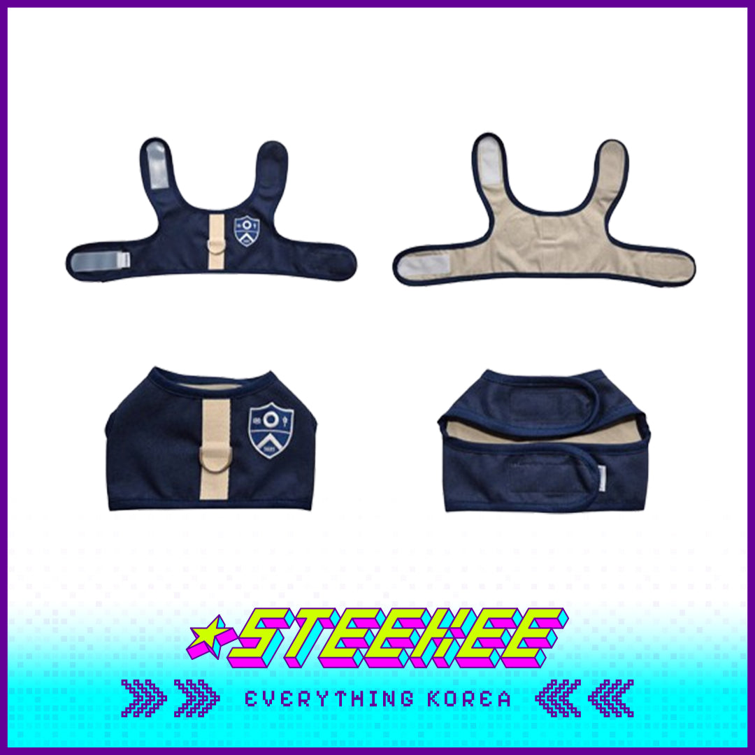 延世大学宠物高级帆布背带闪奇韩国2505