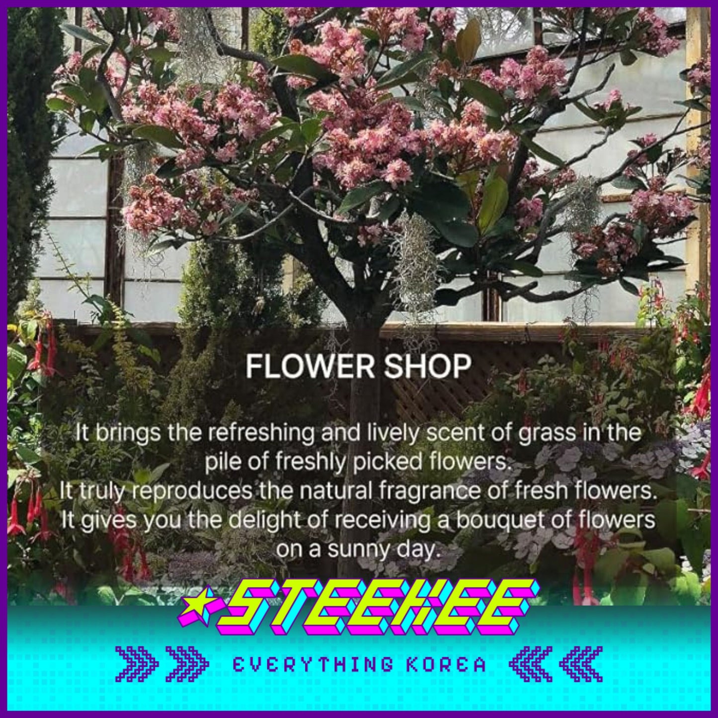 Hetras高级香氛芒果籽油护手霜50ml闪奇韩国2455