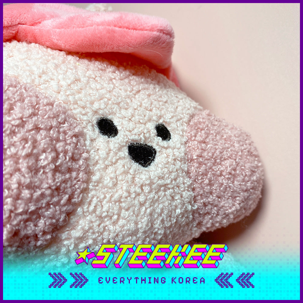 Daiso Chubby Cheek Friends Flying Fairy Soft Comfort Plush Kids Toys by Steekee Korea 2991