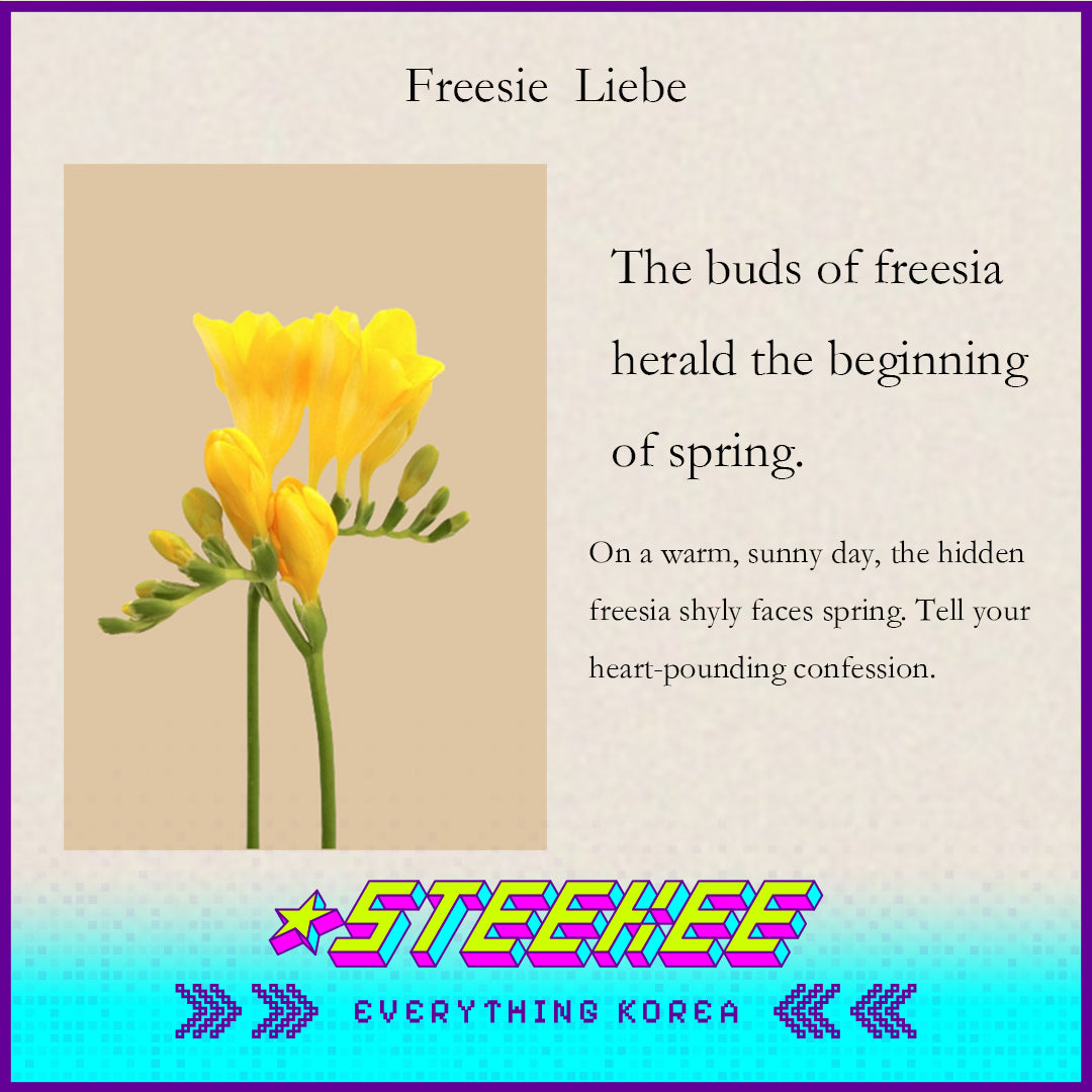 Rest in Nature香水试用装套装1ml3片装闪奇韩国4030