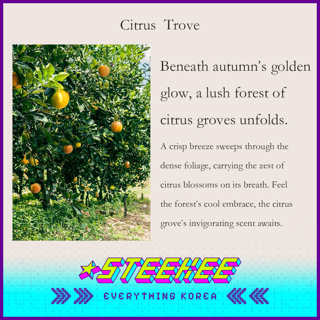 Rest in Nature室内芳香疗愈香薰补充装500ml闪奇韩国4035