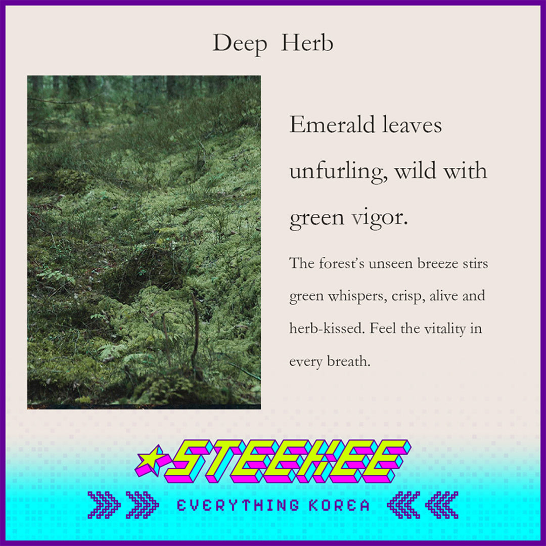 Rest in Nature芳香疗愈室内扩香火山石扩香石套装闪奇韩国4037