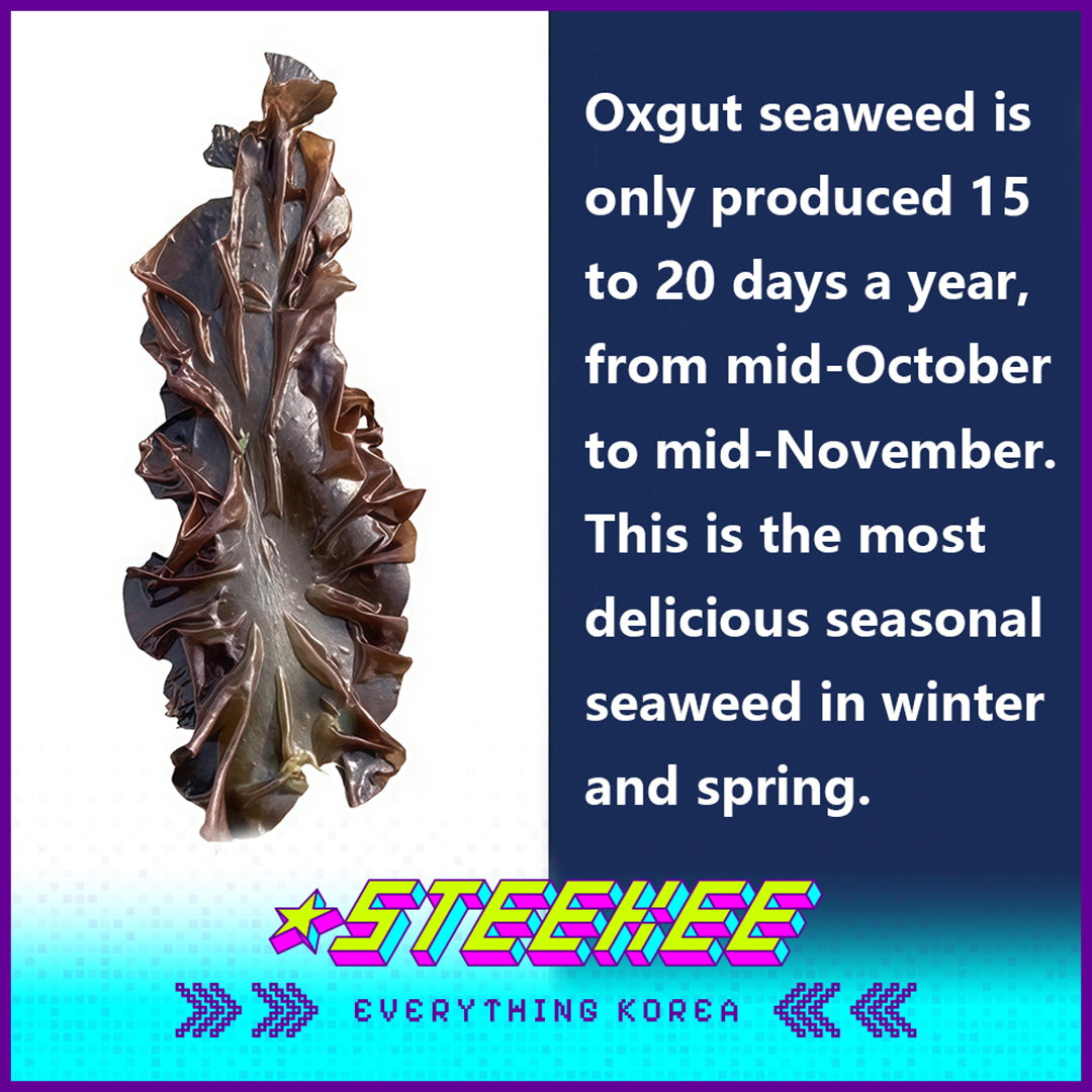 TAECHOGIM Seasoned Premium Oxgut Lunch Box Sushi Roasted Seaweed Small Package by Steekee Korea 4238