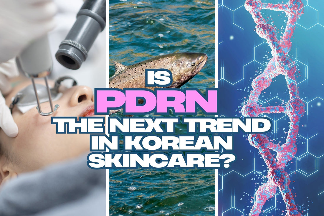 The Power of PDRN and Top Product Picks