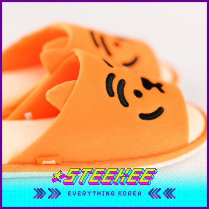 MUZIK TIGER Plush Indoor Bedroom Soft Slippers by Steekee Korea 2582