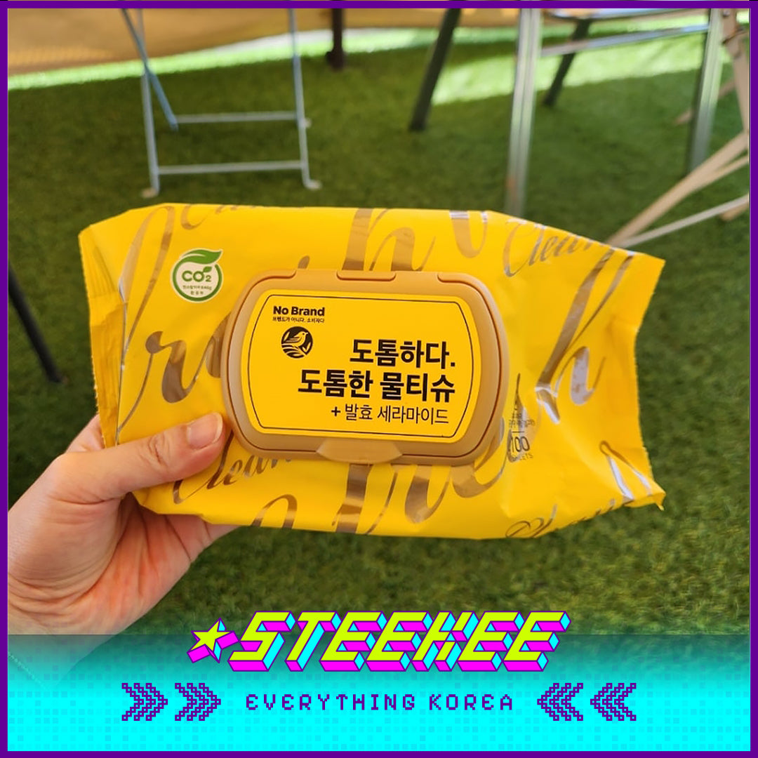 No Brand Thick Moisturizing Cleansing Wet Tissue 100 Sheets by Steekee Korea 4139