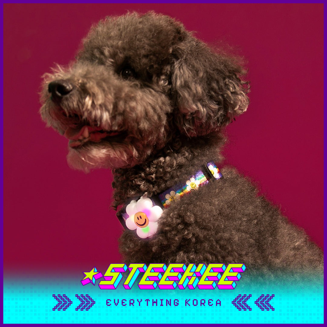 Wiggle Wiggle Pet Cute Night Walking LED Dog Light by Steekee Korean 4435