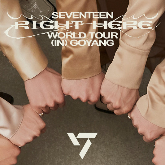 2024 SEVENTEEN [RIGHT HERE] WORLD TOUR IN GOYANG CONCERT TICKET